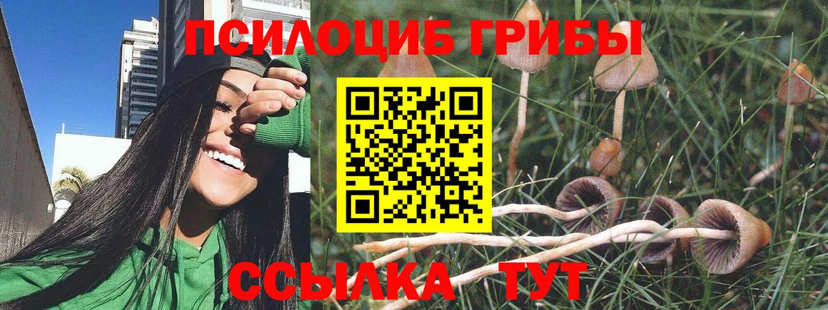 дарнет шоп  Псилоцибиновые грибы мухоморы  Улан-Удэ  Вход с VPN  Псилоцибиновые грибы ЛСД 